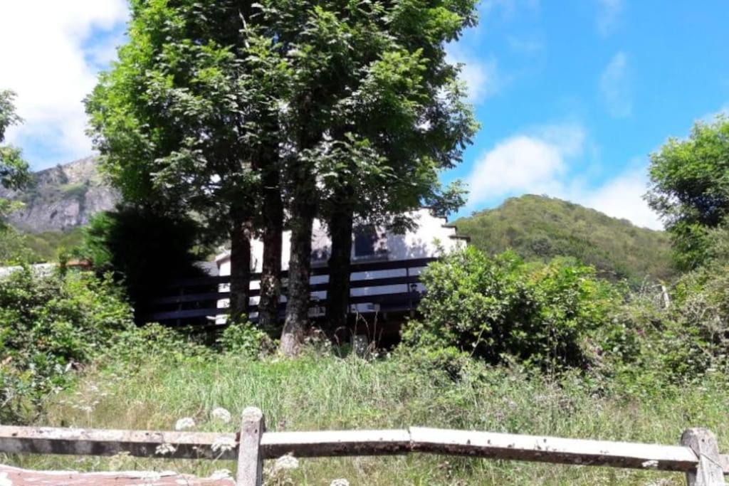 Chalet Oustaou Campan La Mongie Col Du Tourmalet ภายนอก รูปภาพ